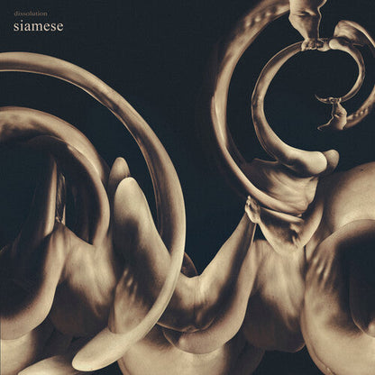 Siamese - (PRESALE 6/26/26) Dissolution (CD) | Mint (M) Mint (M)