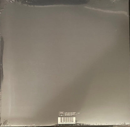 Fuzz (GOLD W ORANGE SPLATTER VINYL) | Mint (M) Mint (M)