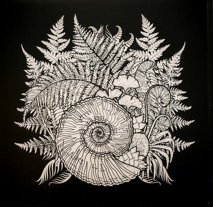 Phanerozoic I Palaeozoic (VINYL) |