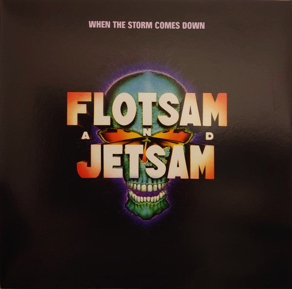 When The Storm Comes Down (VINYL) |
