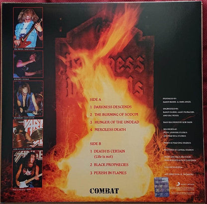 Darkness Descends (VINYL) |