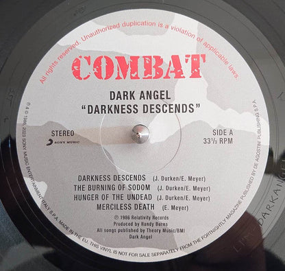 Darkness Descends (VINYL) |