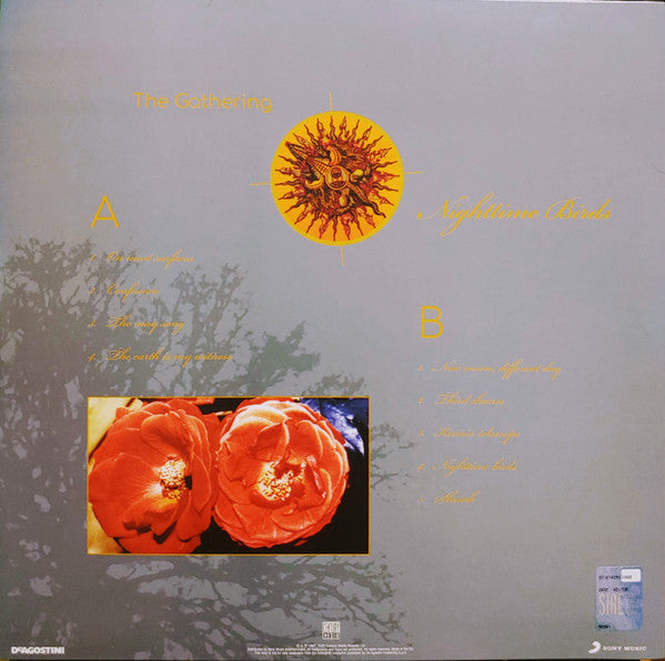 Nighttime Birds (VINYL) |
