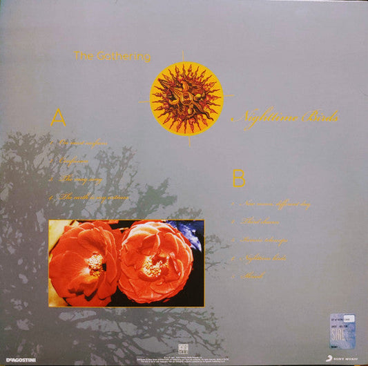 Nighttime Birds (VINYL) |