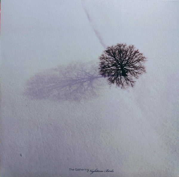 Nighttime Birds (VINYL) |