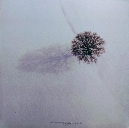 Nighttime Birds (VINYL) |