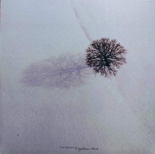 Nighttime Birds (VINYL) |