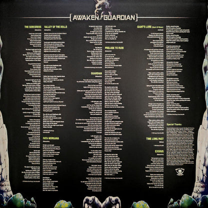 Awaken The Guardian (VINYL) |