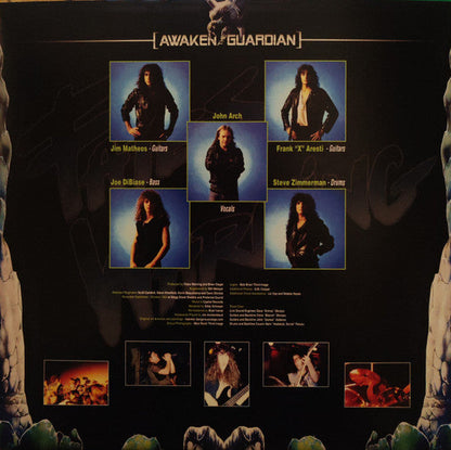 Awaken The Guardian (VINYL) |