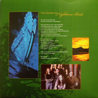 Nighttime Birds (VINYL) |