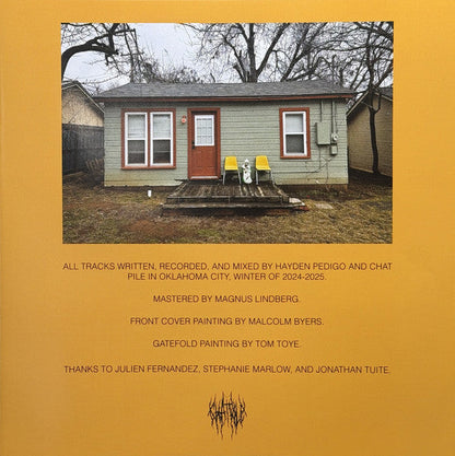 In The Earth Again (VINYL) |