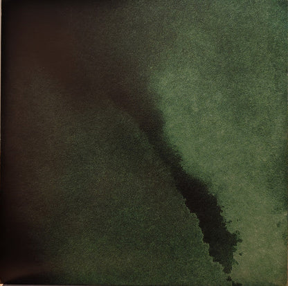 Phanerozoic I Palaeozoic (VINYL) |
