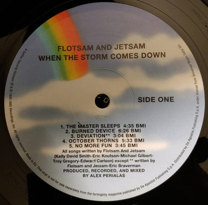 When The Storm Comes Down (VINYL) |