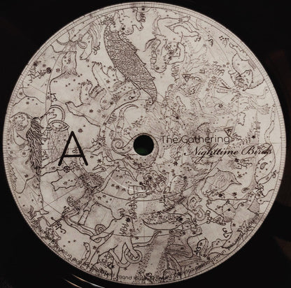 Nighttime Birds (VINYL) |