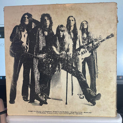 Alice Cooper - Love It To Death (VINYL) | Excellent+ (EX+) Very Good Plus (VG+)