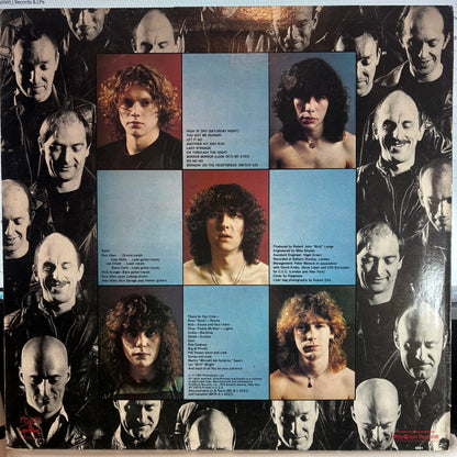 Def Leppard - High 'N' Dry (VINYL) | Excellent (EX) Excellent (EX)