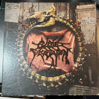 Decade Of Decapitation (COLOR VINYL BOX SET) | Excellent (EX) Excellent (EX)