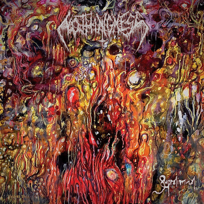 Nothingness (5) - Supraliminal (VINYL) | Near Mint+ (NM+) Mint (M)