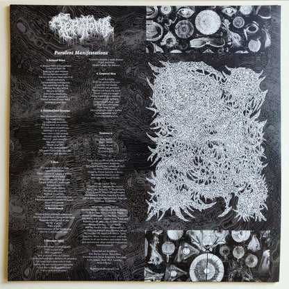 Teratoma (7) - Purulent Manifestations (VINYL) | Near Mint+ (NM+) Mint (M)