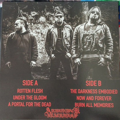 Undertomb (2) - The Returns Of Fallen (VINYL) | Near Mint+ (NM+) Mint (M)