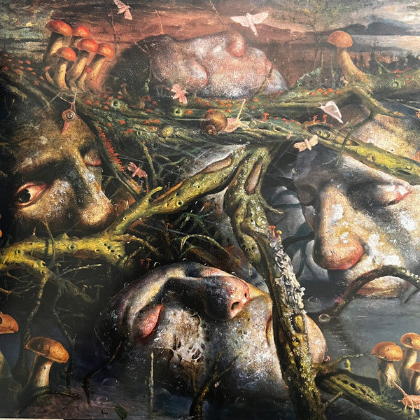 Cunabula - The Weight Of Sleep (VINYL) | Near Mint+ (NM+) Mint (M)