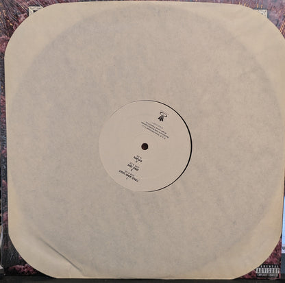 Tool (2) - Opiate (VINYL) | Near Mint (NM) Near Mint (NM)