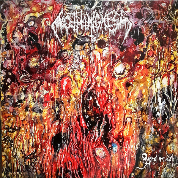Nothingness (5) - Supraliminal (VINYL) | Near Mint+ (NM+) Mint (M)