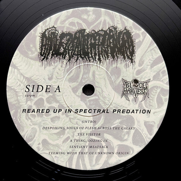 Universally Estranged - Reared Up in Spectral Predation (VINYL) | Near Mint+ (NM+) Mint (M)