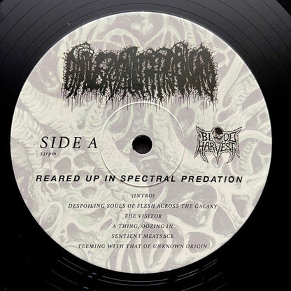 Universally Estranged - Reared Up in Spectral Predation (VINYL) | Near Mint+ (NM+) Mint (M)