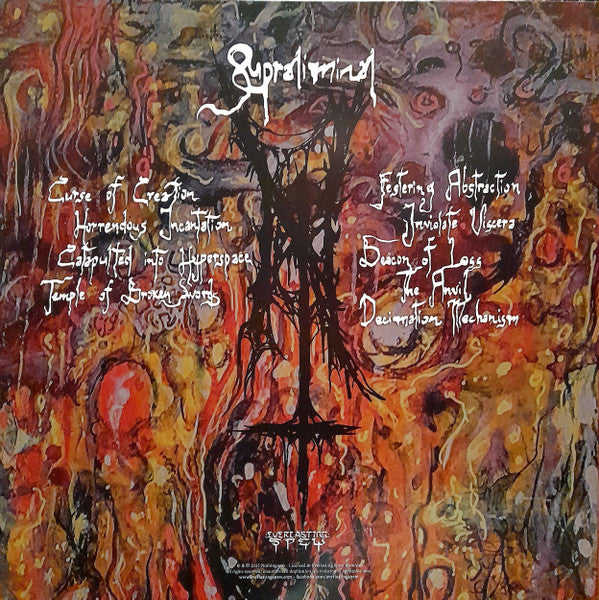 Nothingness (5) - Supraliminal (VINYL) | Near Mint+ (NM+) Mint (M)