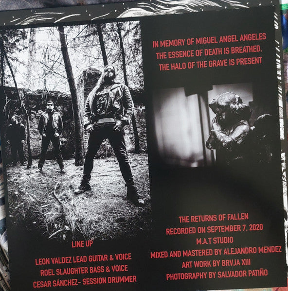 Undertomb (2) - The Returns Of Fallen (VINYL) | Near Mint+ (NM+) Mint (M)