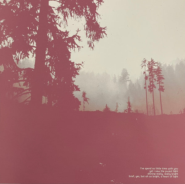 An Autumn For Crippled Children - Try Not To Destroy Everything You Love (VINYL) | Near Mint (NM) Near Mint (NM)