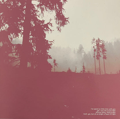 An Autumn For Crippled Children - Try Not To Destroy Everything You Love (VINYL) | Near Mint (NM) Near Mint (NM)