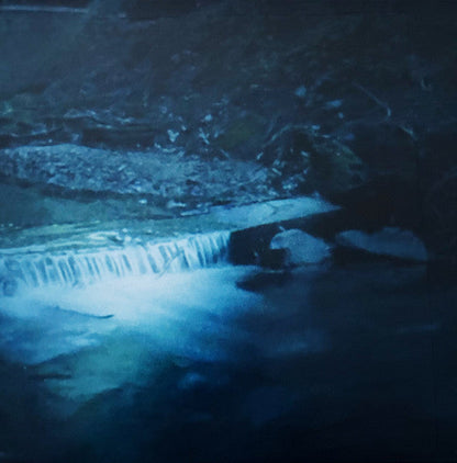 Xasthur - Suicide In Dark Serenity (VINYL) | Near Mint (NM) Mint (M)
