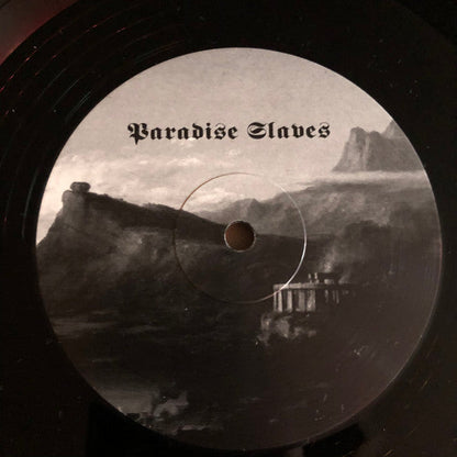 Drowning The Light - Tenth Region Of The Night & Paradise Slaves (VINYL) | Near Mint (NM or M-) Near Mint (NM)