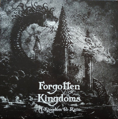 Forgotten Kingdoms - A Kingdom In Ruin (VINYL) | Near Mint (NM or M-)