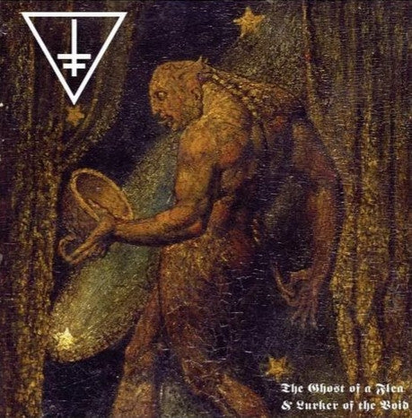 Drowning The Light - The Ghost Of A Flea & Lurker Of The Void (VINYL) | Near Mint (NM) Near Mint (NM)