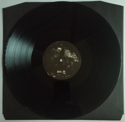 Forgotten Kingdoms - A Kingdom In Ruin (VINYL) | Near Mint (NM or M-)