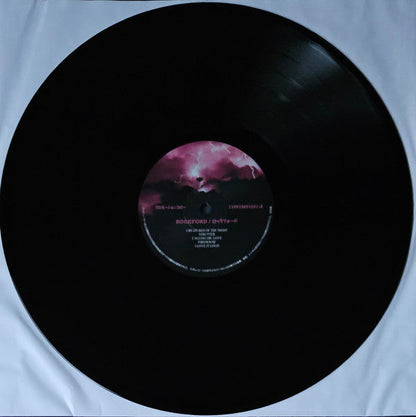 Kiss - Happy New Year! Sioux City & Rockford 1982 (VINYL BOX SET) | Near Mint (NM or M-)