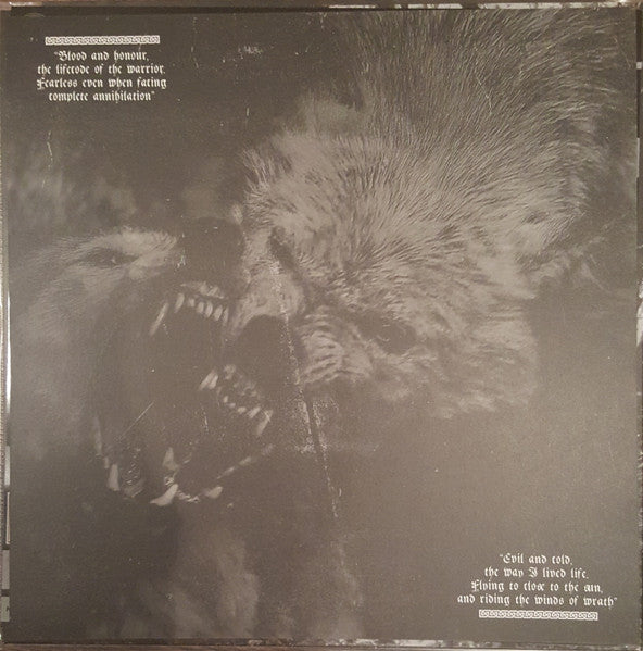 Veil Of Ancient Darkness (VINYL) | Near Mint (NM) Near Mint (NM)