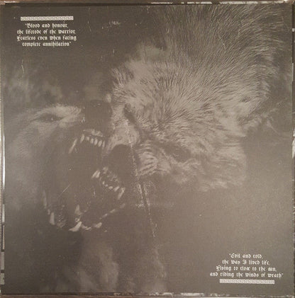 Veil Of Ancient Darkness (VINYL) | Near Mint (NM) Near Mint (NM)