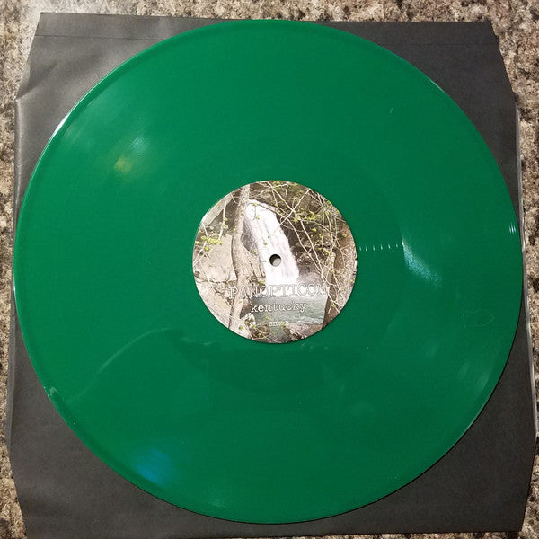 Panopticon (6) - Kentucky (2XVINYL) | Near Mint (NM or M-) Near Mint (NM)