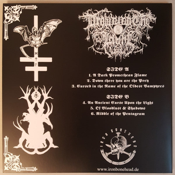 Drowning The Light - Sigils & Ciphers (VINYL) | Near Mint (NM) Near Mint (NM)