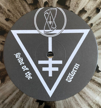 Drowning The Light - A Pact With Madness (VINYL) | Near Mint (NM) Near Mint (NM)