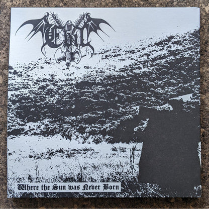 Drowning The Light - A Reflection Of The Past / Where The Sun Was Never Born (VINYL + 7") | Near Mint (NM or M-)
