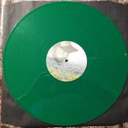 Panopticon (6) - Kentucky (2XVINYL) | Near Mint (NM or M-) Near Mint (NM)
