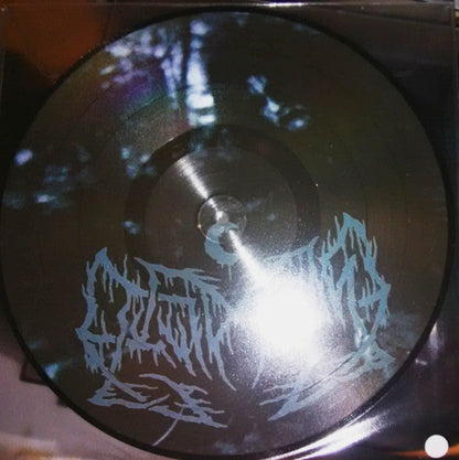 Leviathan (5) - The First Sub-Level Of Suicide (PICTURE VINYL) | Near Mint (NM or M-)