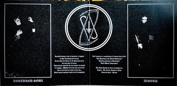 Drowning The Light - The Longing (2xVINYL) | Near Mint (NM)