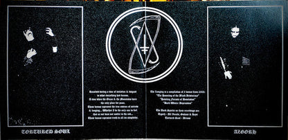 Drowning The Light - The Longing (2xVINYL) | Near Mint (NM)