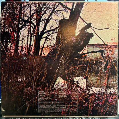 Black Sabbath - Black Sabbath (VINYL) | Near Mint (NM or M-) Excellent+ (EX+)